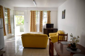 Large 2 Bedroom 2 Bath Apartment#4 in City of Roseau by Green Castle